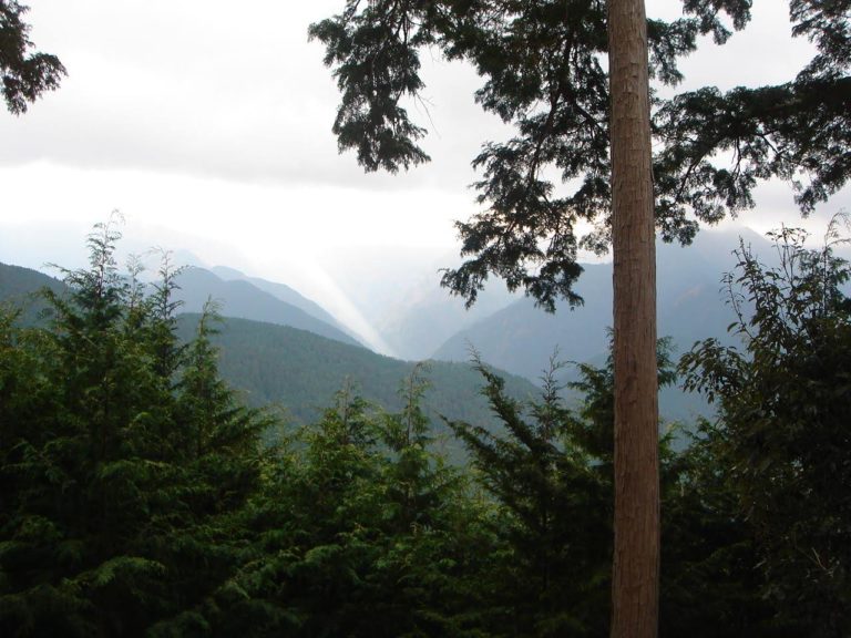 吉野郡川上村の山の景色