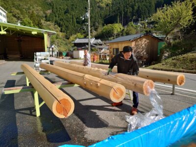 変木 輪切り カイズカイブキ -037 タイムセール中 数量限定天然